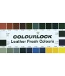 Colourlock Leder Fresh Tónování 